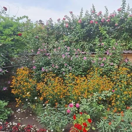 Kaya Apartman Sarajevo