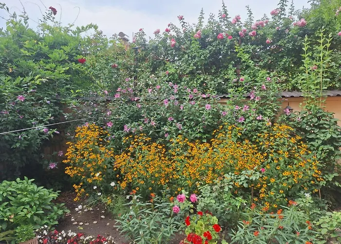 Kaya Apartman Szarajevó